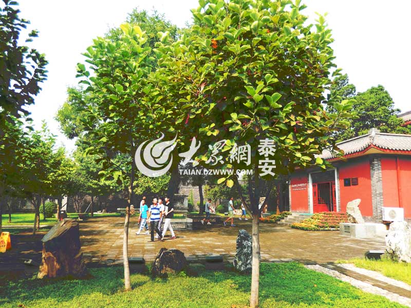DSCN6946-00.jpg